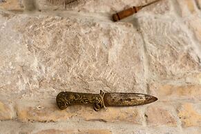 Happy Jackdaw in the Center of Split