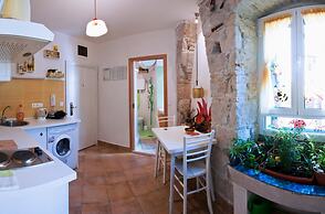 Happy Jackdaw in the Center of Split