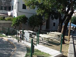 Happy Jackdaw in the Center of Split