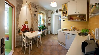 Happy Jackdaw in the Center of Split