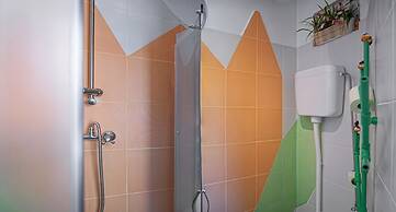 Happy Jackdaw in the Center of Split