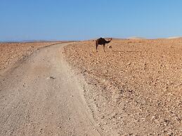 Stargazing Tent at Nkhila Lodge, Agafay Desert Camp
