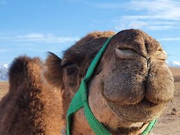 Stargazing Tent at Nkhila Lodge, Agafay Desert Camp