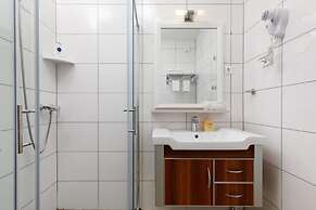 Seagull - Ark Beach Studio