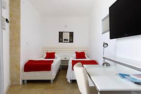 Seagull - Ark Beach Studio