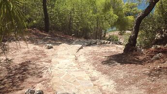 Villa With Private Beach