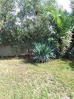 Palm Garden Apartment