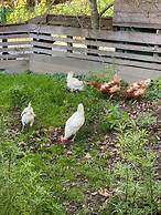 Kaiserhaus Harald Astner Ebbs Studio 2