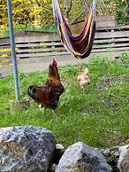 Kaiserhaus Harald Astner Ebbs Studio 2