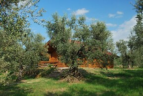 Chalet 6 Agriturismo