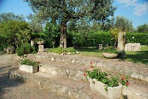 Dante Pino in Tocco da Casauria