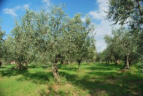 Dante Pino in Tocco da Casauria
