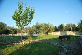 Dante Pino in Tocco da Casauria