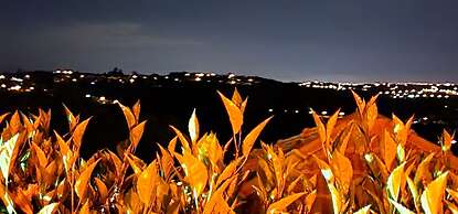 Águas Chalés Temporada