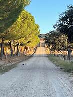 La Centenaria de Alaraz