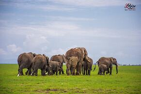 Amanya 1- Bed Pitch Tent