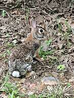 Outcast Landing - A Fisherman's Paradise