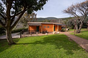 Mantur Parod by Selina