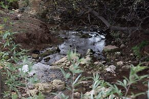 Mantur Parod by Selina