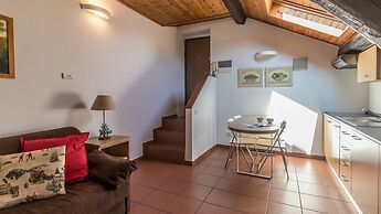 Bligny 19A Glicine Cervinia