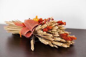 Mi-cera15a1 - Cerano 15