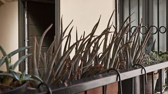 Mi-cgar55b4 - Garibaldi 55 - Large