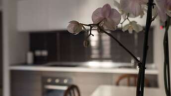 Mi-melz12c1m - Melzo 12 - 1CM SUL Art D co