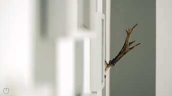 Mi-melz12b3 - Melzo 12 - 3B SUP Righe