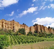 Palagio 20 in Chianti With Shared Pool