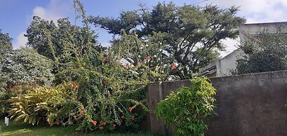 The Best Green Garden Guest House in Harare