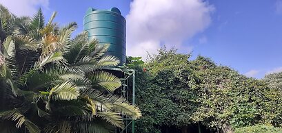 The Best Green Garden Guest House in Harare