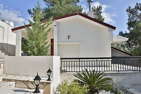 Nestor Hillside Moniatis House