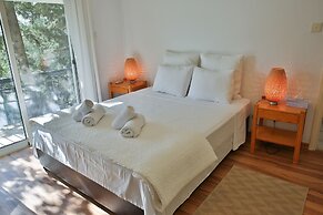 Nestor Hillside Moniatis House