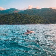 Eco Pousada Tapera das Palmas