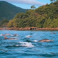 Eco Pousada Tapera das Palmas