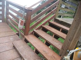 Nautilus at Crook Point