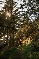 West Cove at Crook Point