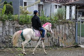 Classic Herman by Broga