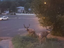 4brnear Garden Of The Gods With Large Yard