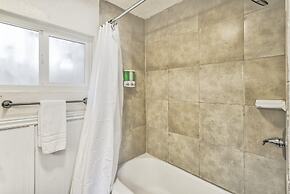 1BD Suite Trails & Garden of the Gods Dogs Welcome!