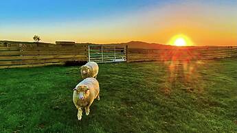 Cosy Annexe Sleeps 4