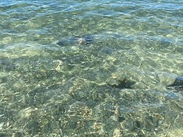 Cosy Annexe Sleeps 4