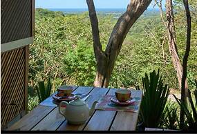 Jungle House- Natural Ocean View Cabin