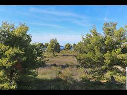 Apartment 5, First Floor