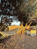 Tenedos Tatil Odaları