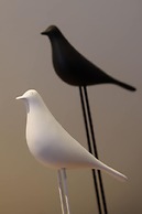 Efilenia Luxury Villas