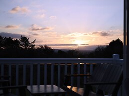 Rose View