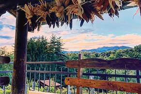 Il Vigneto Sul Lago Vineyard Lake View