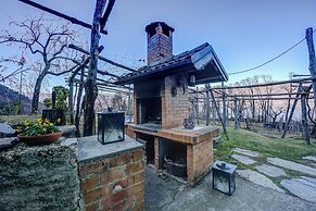 Il Vigneto Sul Lago Vineyard Lake View