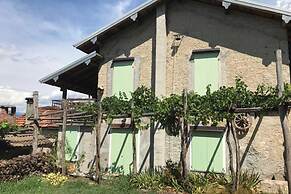 Il Vigneto Sul Lago Vineyard Lake View